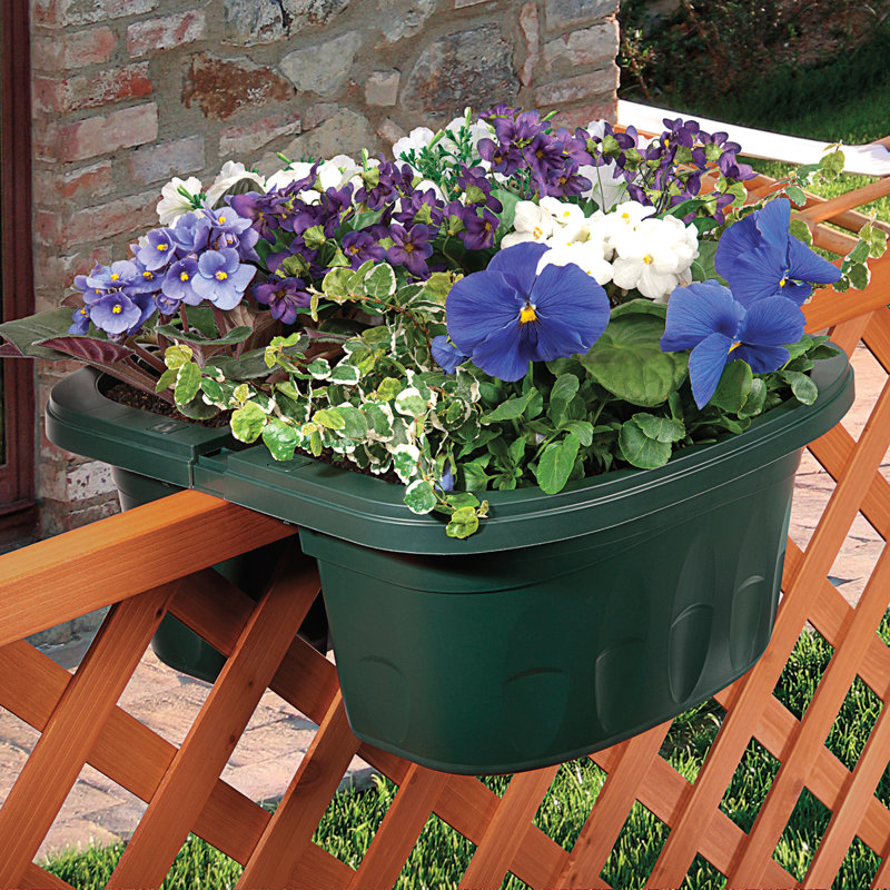 Winston Porter Lesher SelfWatering Railing Planter & Reviews Wayfair